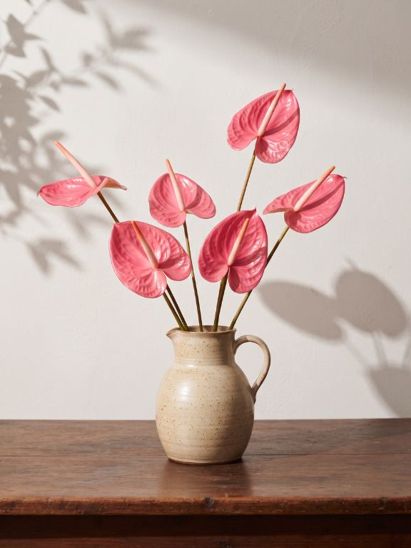 HOT PINK ANTHURIUM
